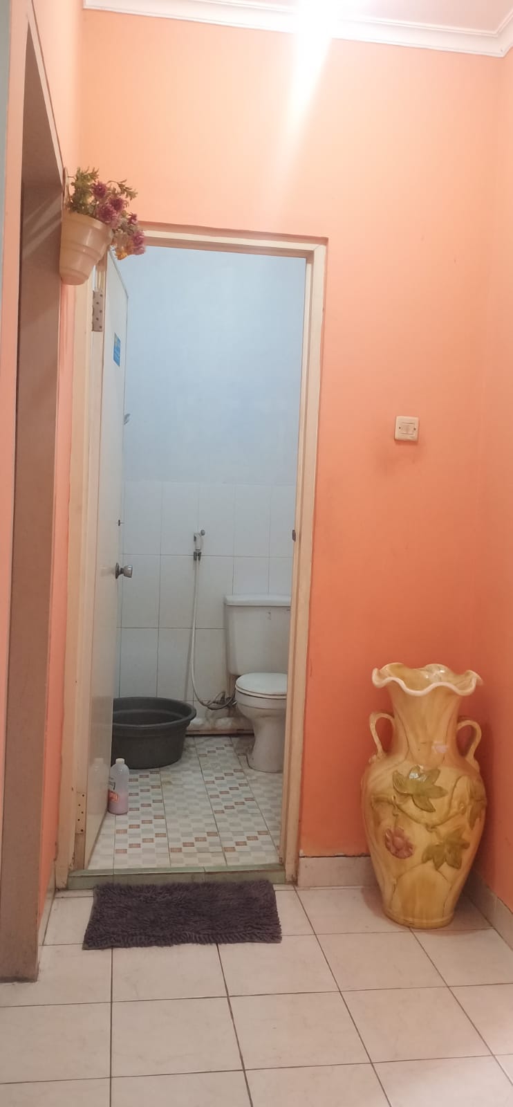 Rumah diJual di Catania Deltamas Cikarang